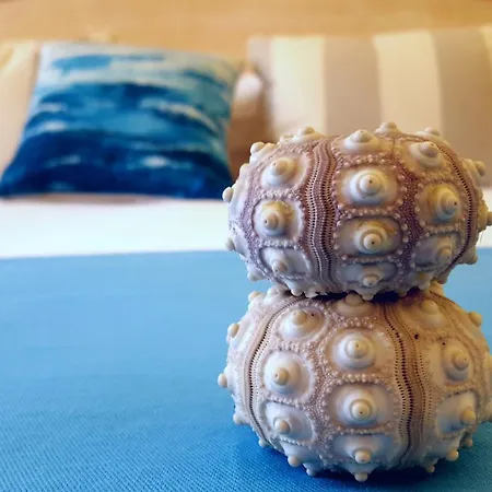 Brezza Marina Luxury 4* קליארי