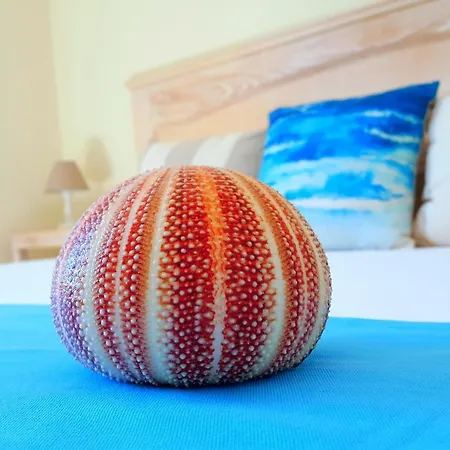 Gasthuis Brezza Marina Luxury Cagliari